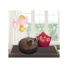 Chocolate Truffle Cake With Pack Of 5 Kitkat Chocolates With Bunch Of 5 Blown Balloons