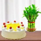 2 LAYER LUCKY BAMBOO PLANT WITH 1 POUND PINEAPPLE COOL CAKE