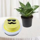 HALF KG PINEAPPLE CAKE WITH SANSEVIERIA PLANT IN A POT