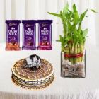 SET OF 3 DAIRY MILK SILK HALF KG BUTTERSCOTCH CAKE 2 LAYER LUCKY BAMBOO PLANT