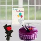 SINGLE RED ROSE HALF KG BLACK CURRANT CAKE BIRTHDAY CARD